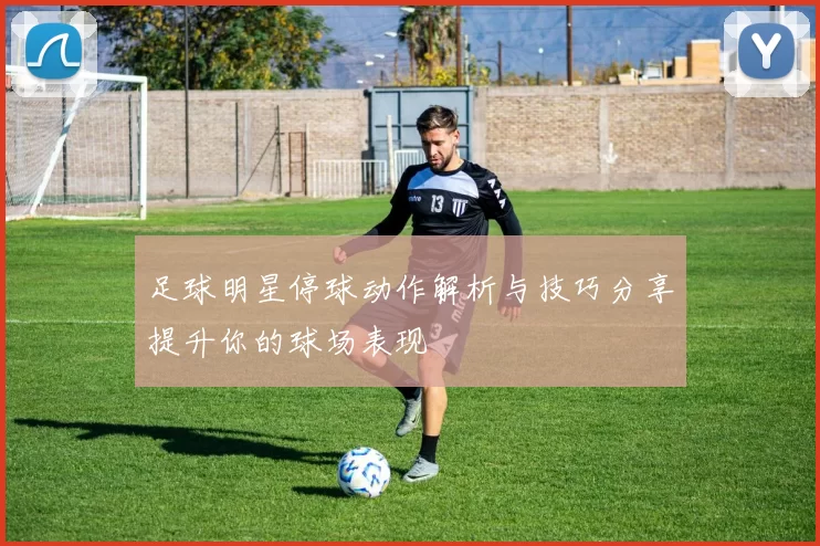 足球明星停球动作解析与技巧分享提升你的球场表现