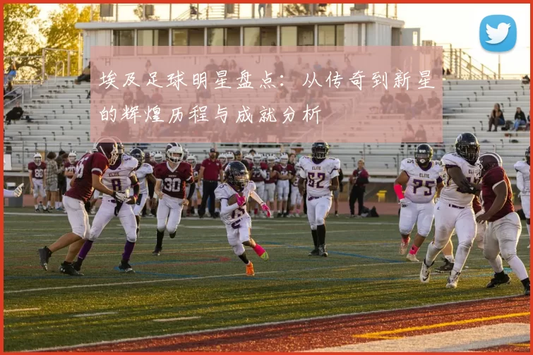 埃及足球明星盘点：从传奇到新星的辉煌历程与成就分析