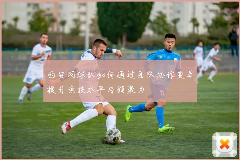 西安网球队如何通过团队协作变革提升竞技水平与凝聚力