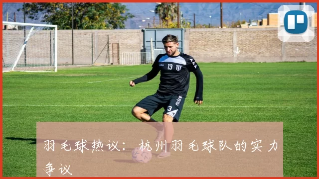 羽毛球热议：杭州羽毛球队的实力争议