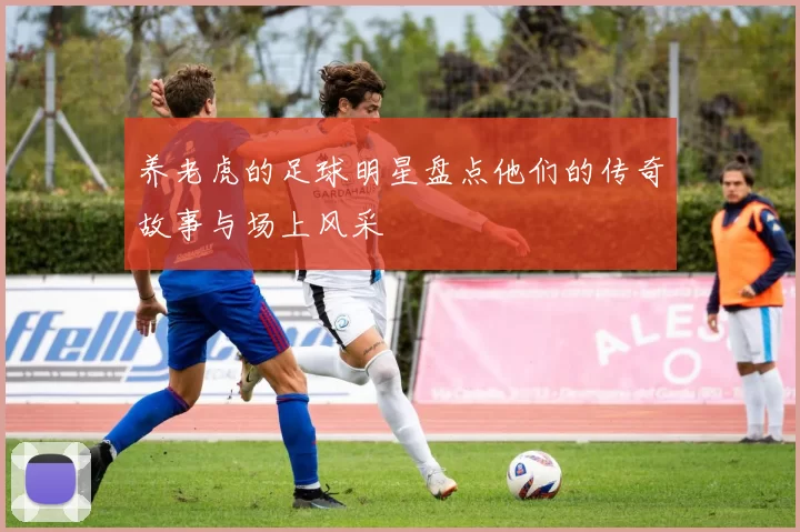 养老虎的足球明星盘点他们的传奇故事与场上风采