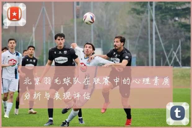 北京羽毛球队在联赛中的心理素质分析与表现评估
