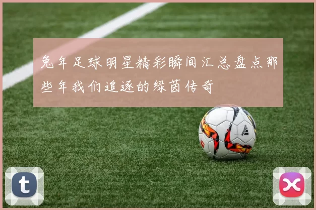 兔年足球明星精彩瞬间汇总盘点那些年我们追逐的绿茵传奇