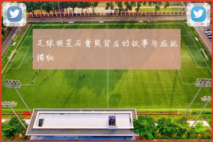 足球明星石膏熊背后的故事与成就揭秘