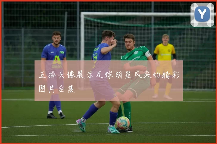五排头像展示足球明星风采的精彩图片合集