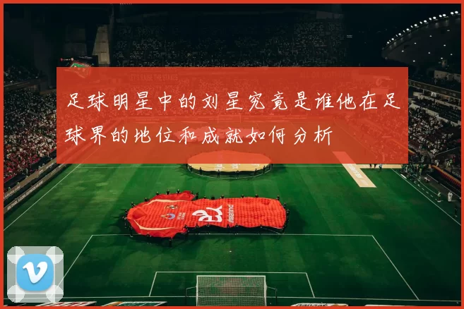 足球明星中的刘星究竟是谁他在足球界的地位和成就如何分析