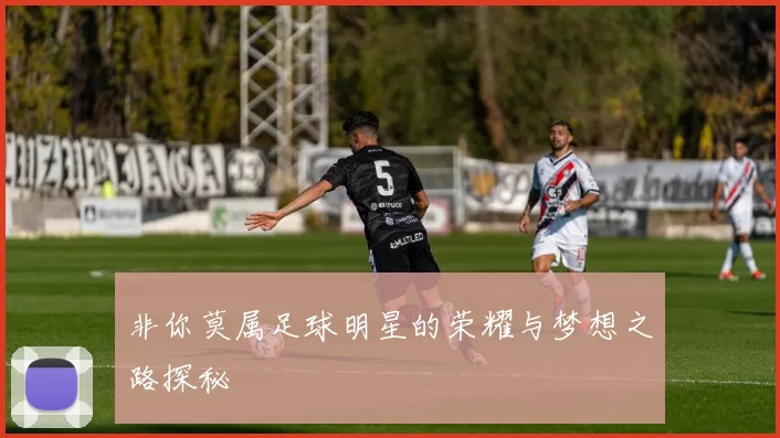 非你莫属足球明星的荣耀与梦想之路探秘