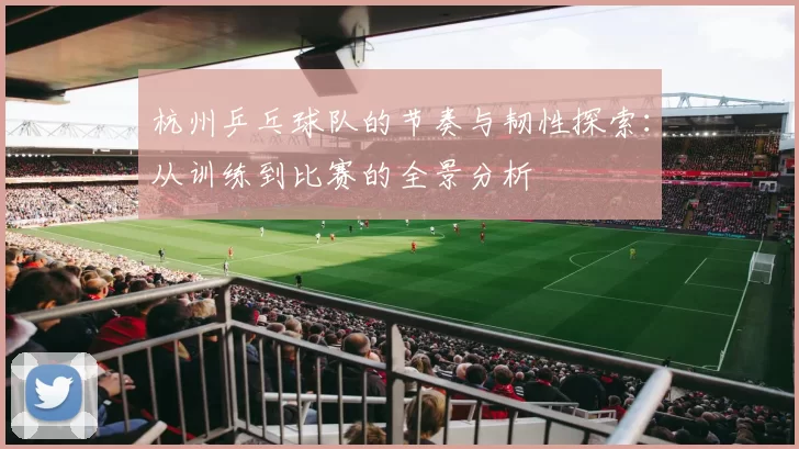 杭州乒乓球队的节奏与韧性探索：从训练到比赛的全景分析