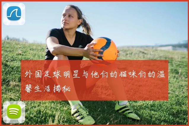 外国足球明星与他们的猫咪们的温馨生活揭秘