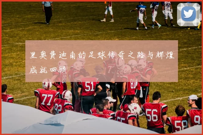 里奥费迪南的足球传奇之路与辉煌成就回顾