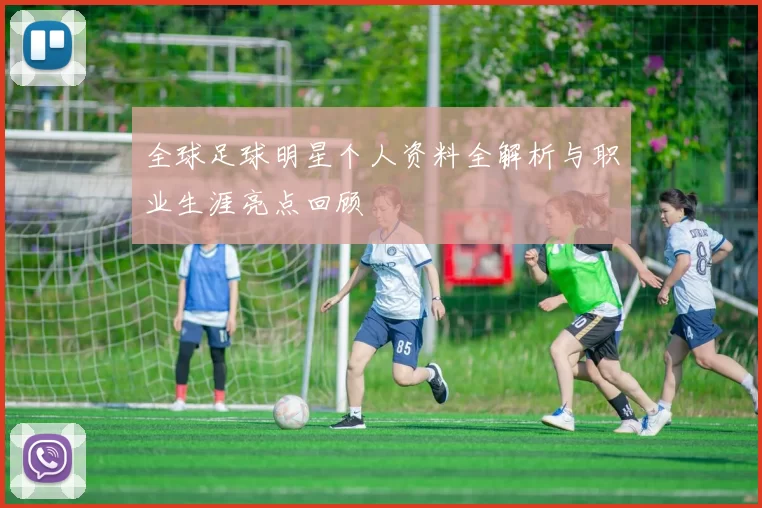 全球足球明星个人资料全解析与职业生涯亮点回顾