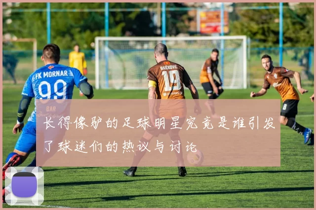 长得像驴的足球明星究竟是谁引发了球迷们的热议与讨论