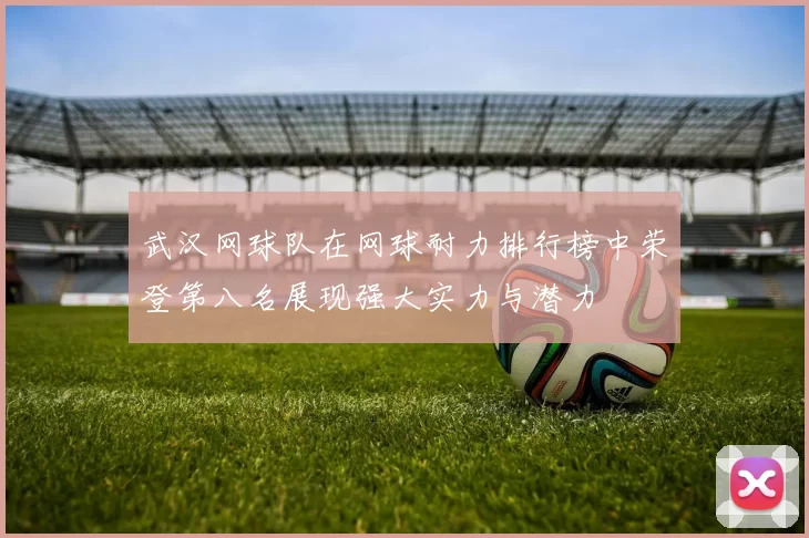 武汉网球队在网球耐力排行榜中荣登第八名展现强大实力与潜力
